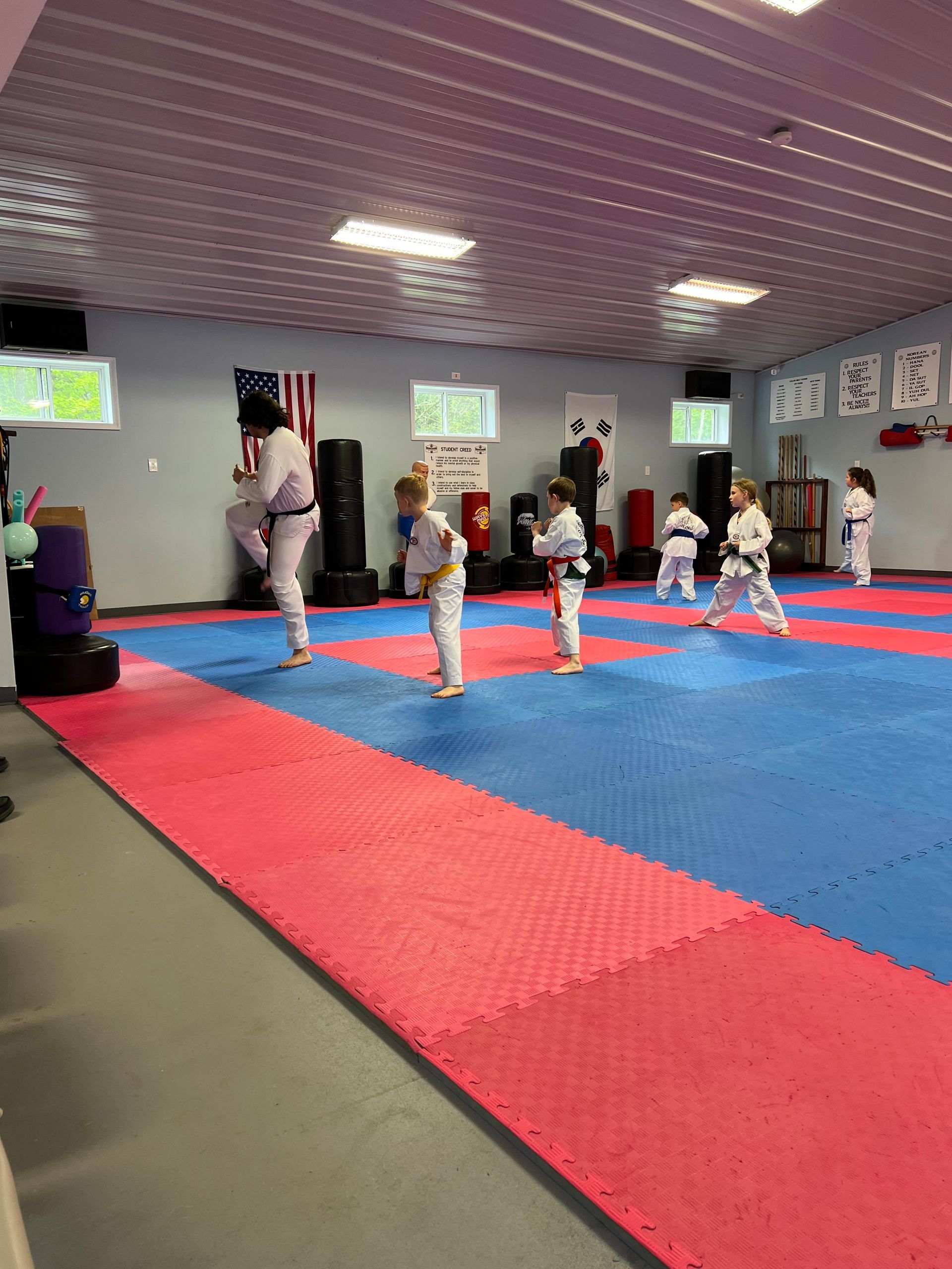 A group of children are practicing martial arts in a gym.
