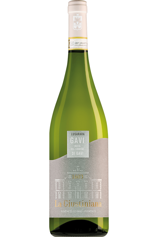 Gavi del Comune di Gavi Lugarara 2025