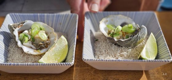Kai Restaurant Grill Try Out oysters from the grill