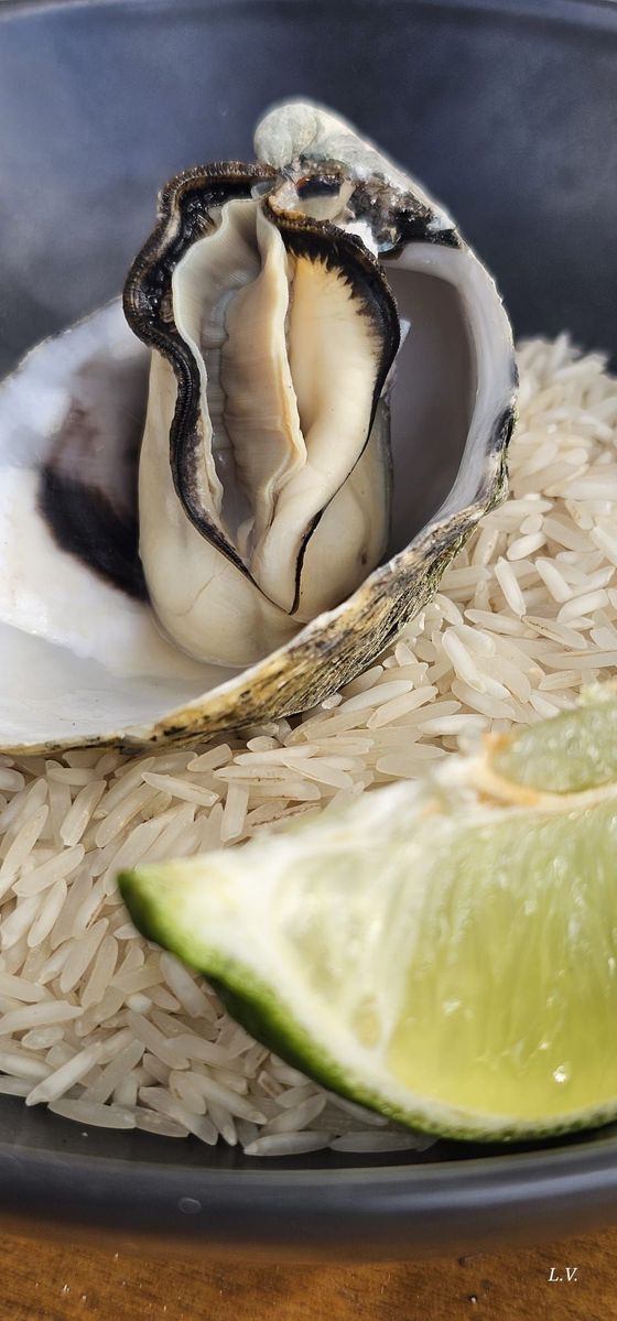 Kai Restaurant Grill Try Out oysters