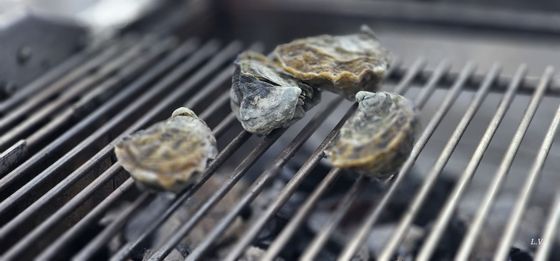 Kai Restaurant Grill Try Out oysters on the grill