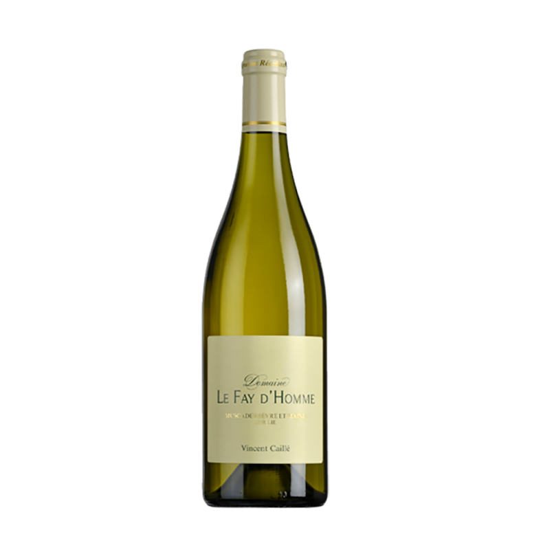 Fay d'Homme - Muscadet Sèvre et Maine sur Lie