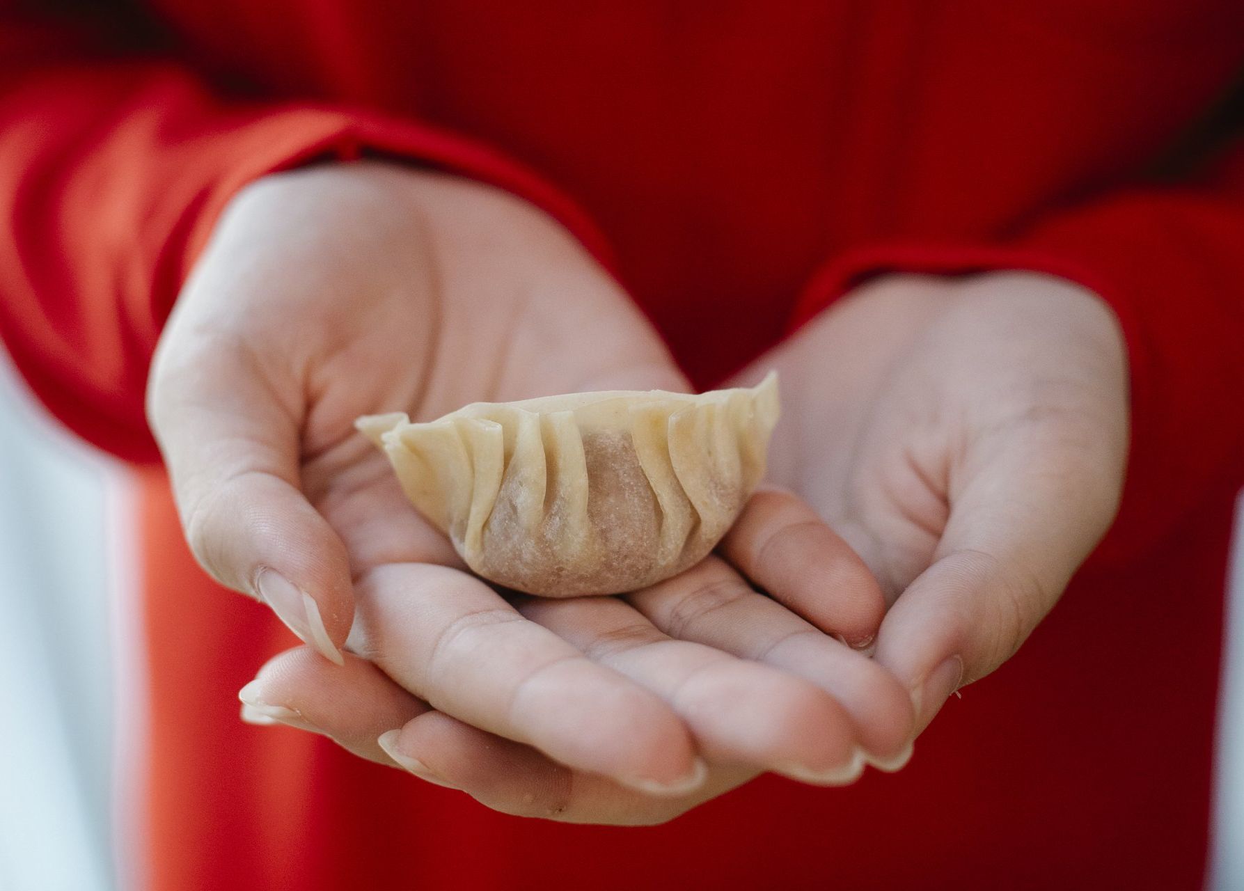 Recept Gyoza maken