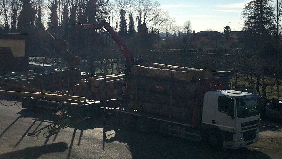 trasporto di tronchi di legno