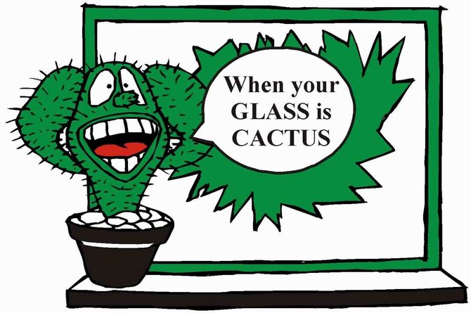 Captain Cactus - Glass Repair Gold Coast, QLD