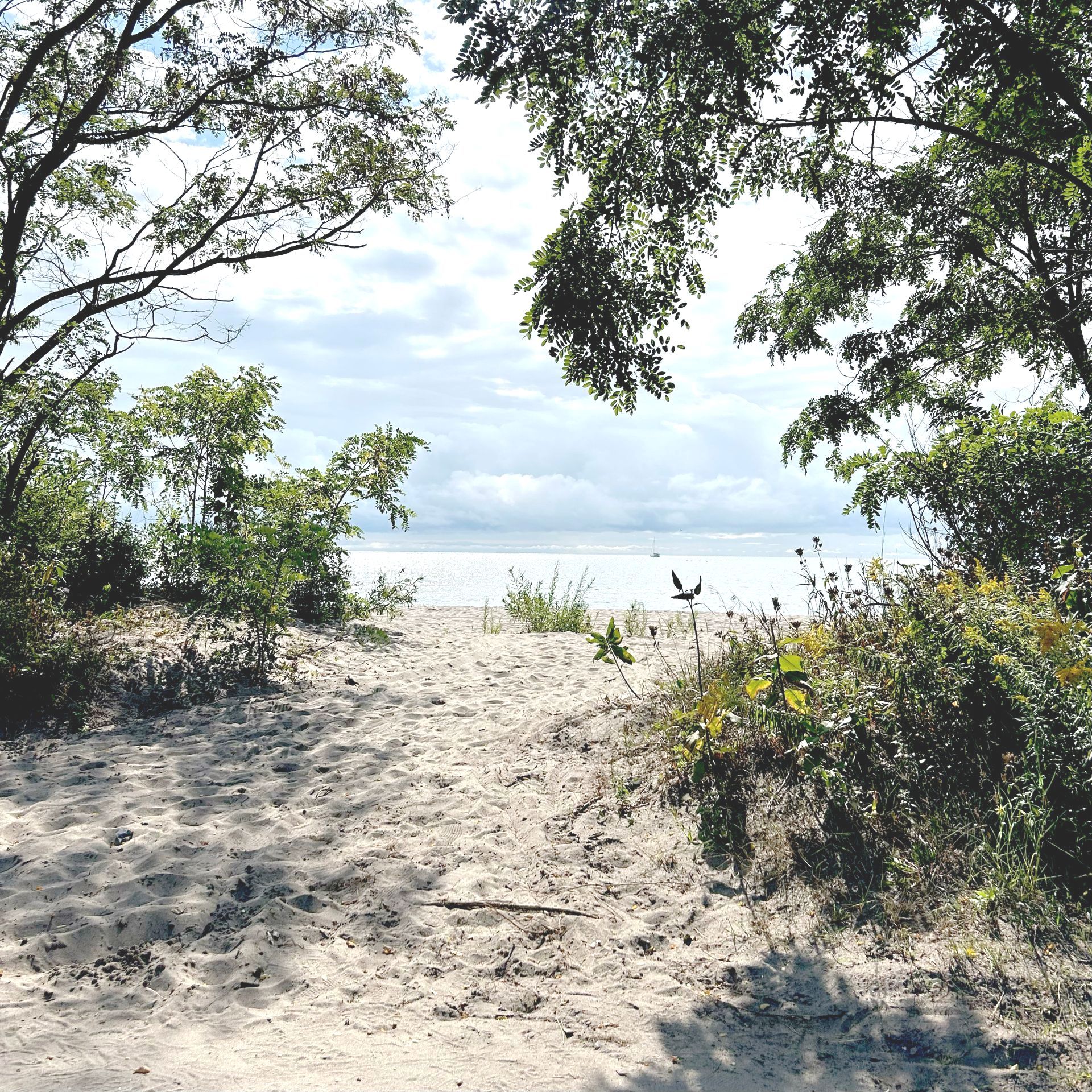 Sandy path leads to a beach, with trees framing the view of the water and cloudy sky.
