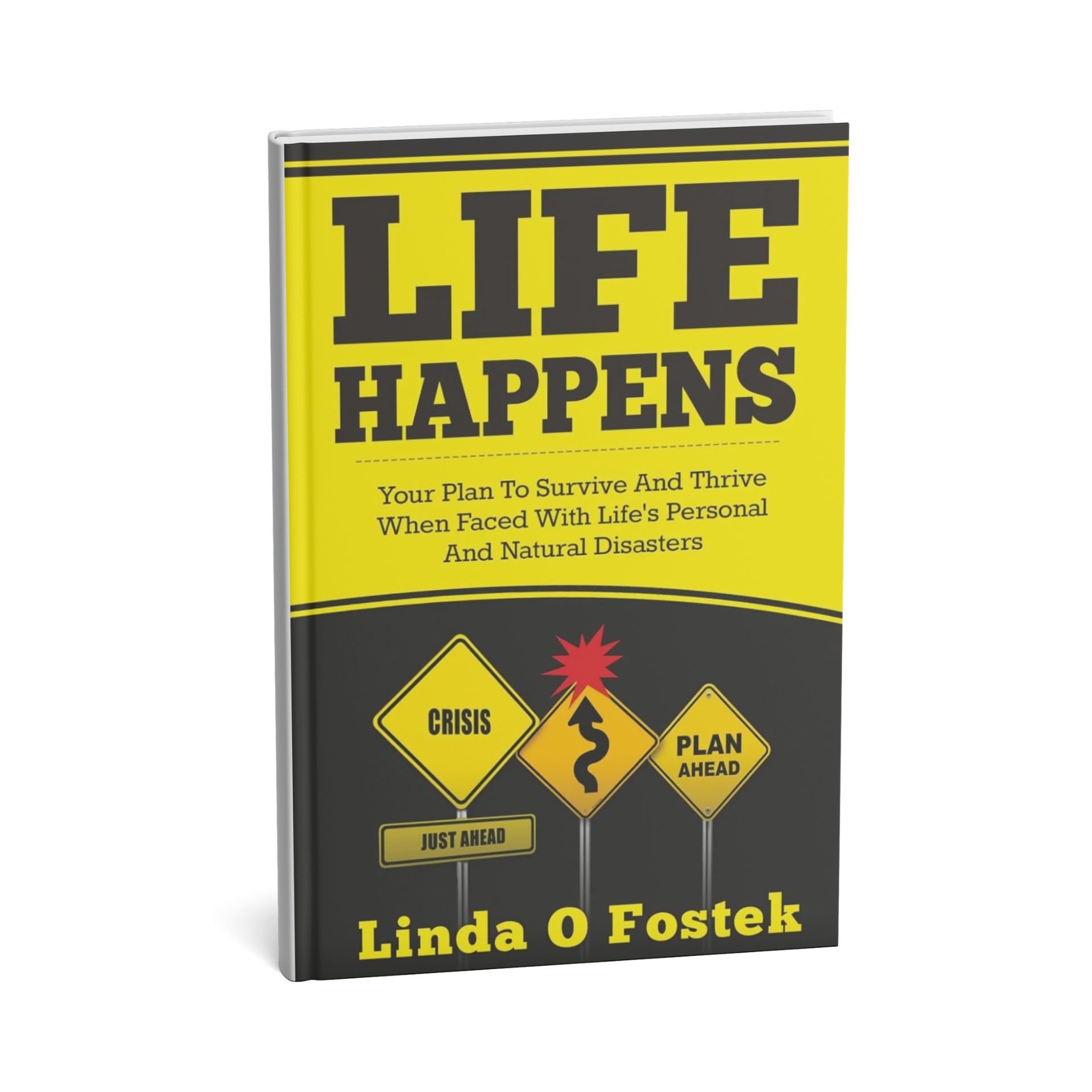 Life Happens: Creating Your Plan To Survive And Thrive When Faced With Life's Personal And Natural Disasters by Linda Fostek