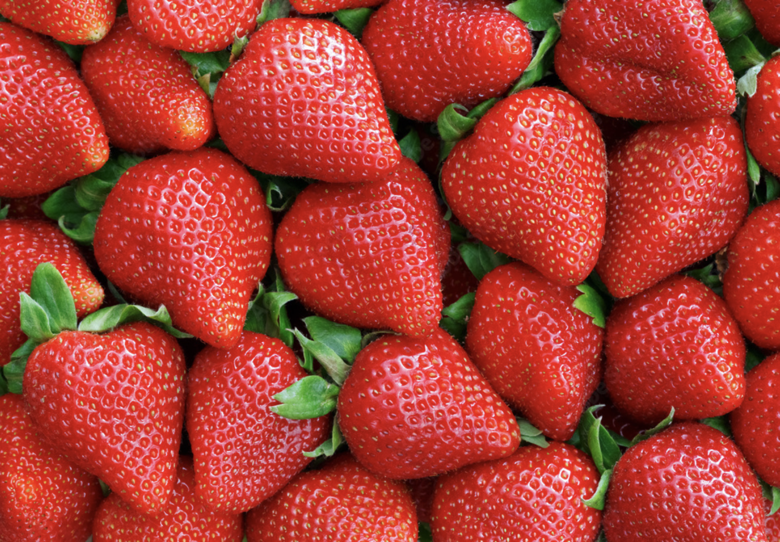 Un montón de fresas con hojas verdes.