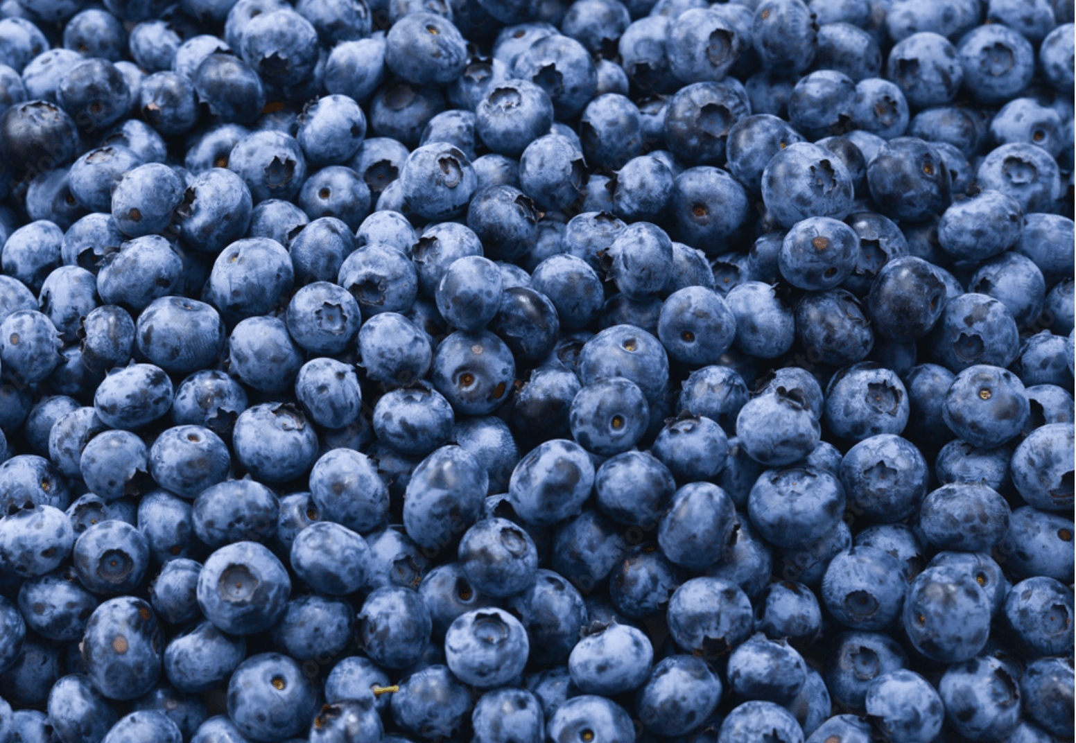 Una pila de arándanos colocados uno encima del otro sobre una mesa.