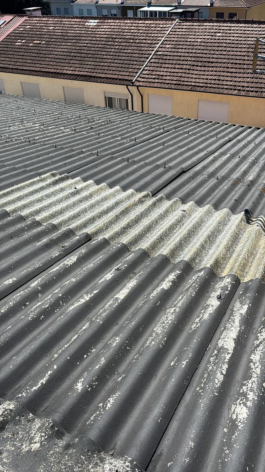 Um close de um telhado em fibrocimento e amianto com um pássaro nele.