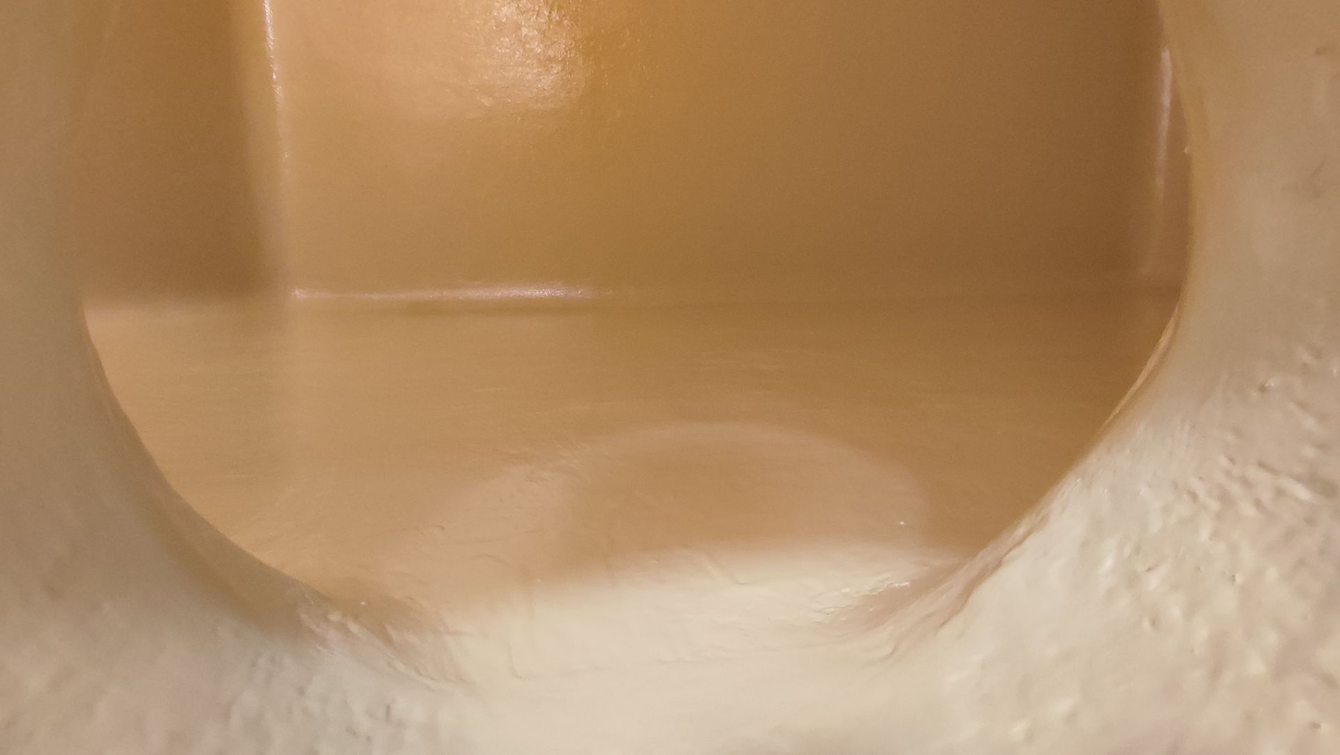 Interno cilindrico color marrone chiaro con una sostanza ondulata leggermente biancastra sul fondo.