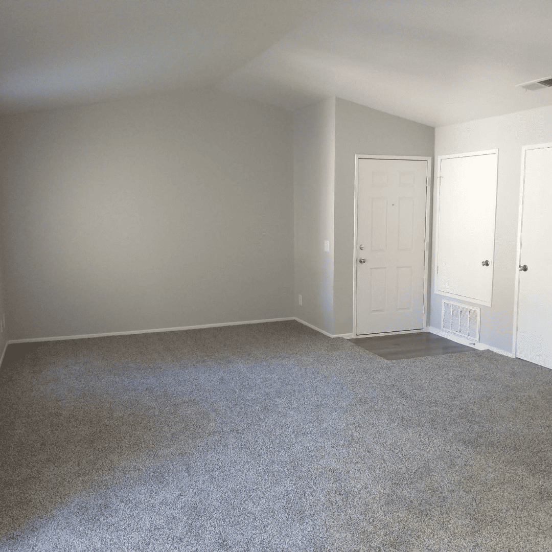 Empty room with gray walls, carpet, and three white doors.
