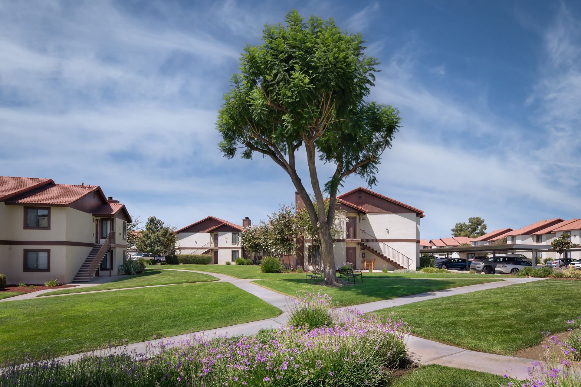 Apartment complex with green lawn, paved walkways, and a large tree under a blue sky.