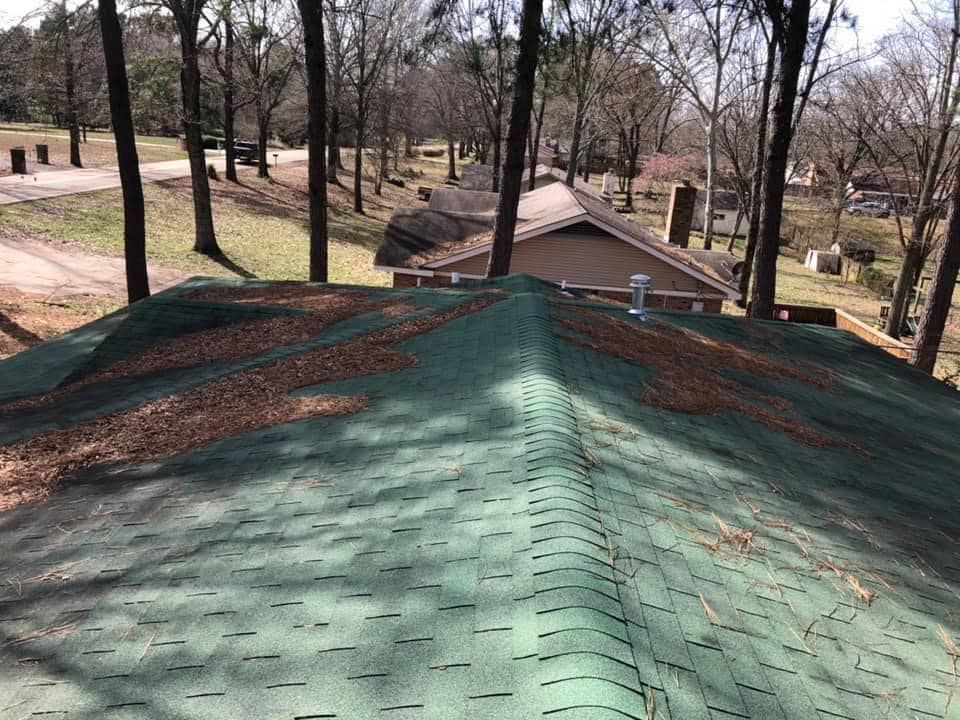 Green shingle roof with fallen leaves, viewed from above, in a wooded area with houses in the background.