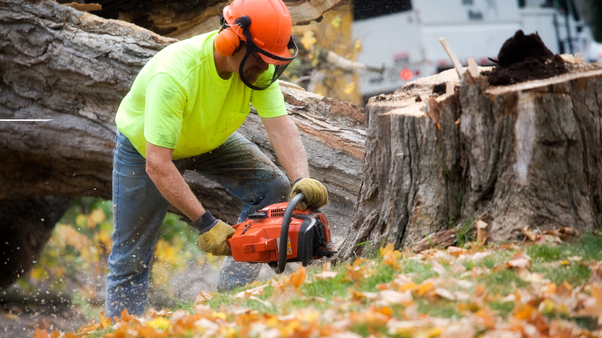 A man is cutting a tree stump with a chainsaw.