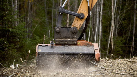 A bulldozer is cutting down trees in a forest.
