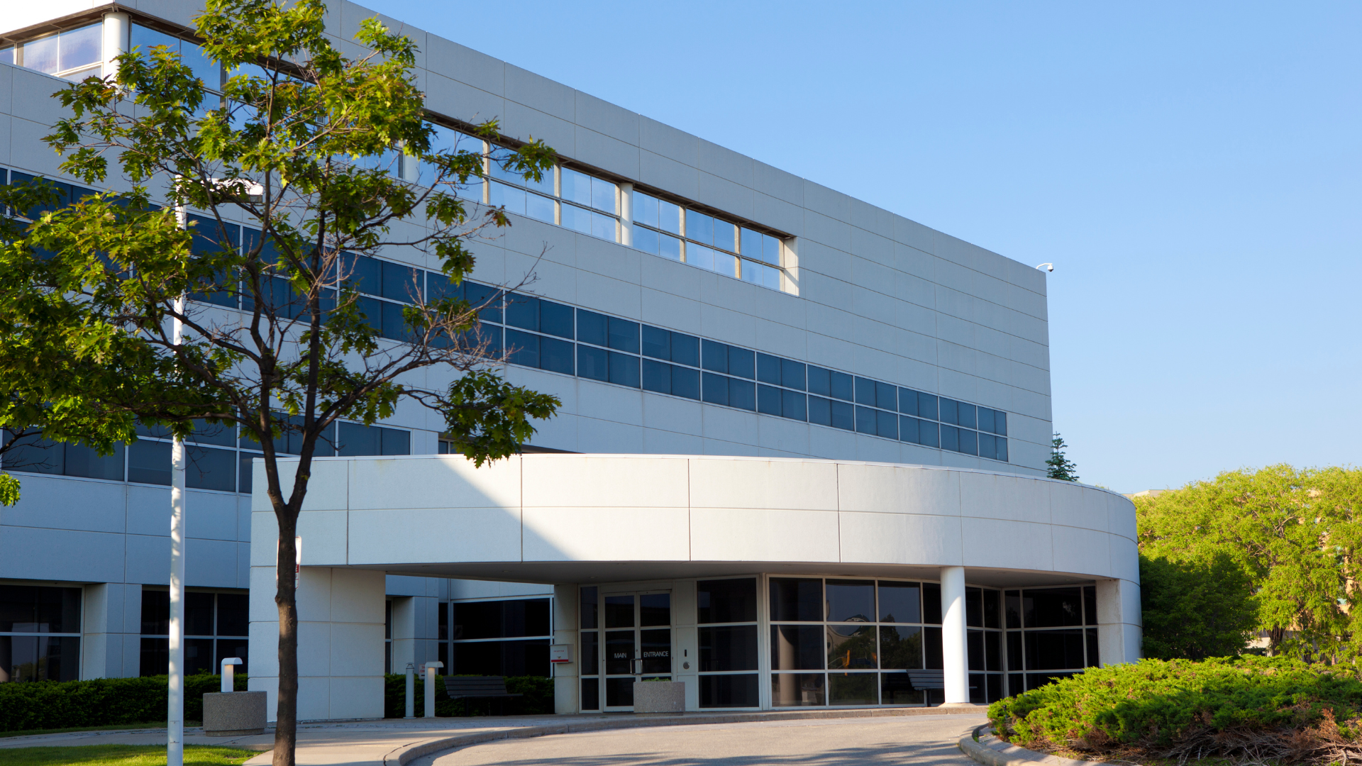 A large white building with a tree in front of it