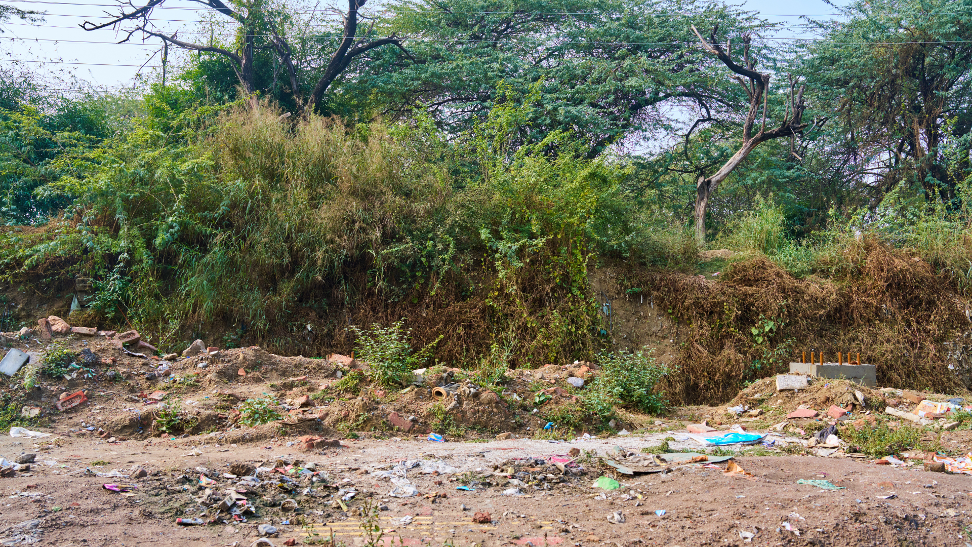 A dirt field with trees in the background and a pile of trash in the foreground.