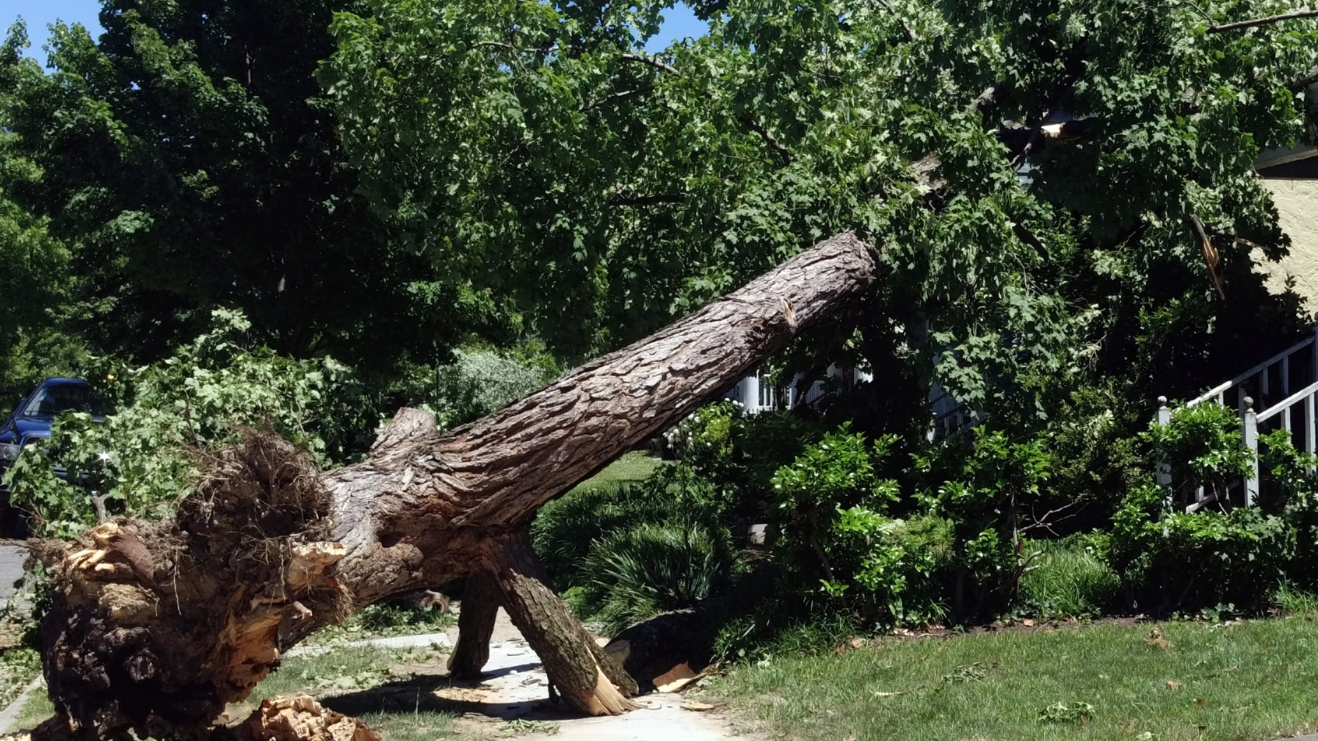 A large tree stump is laying on the ground in front of a house.