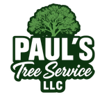 The logo for Paul 's Tree Service LLC has a tree on it.