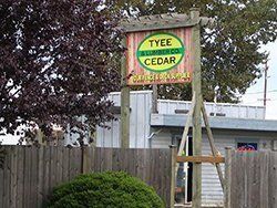 Sign for Tyee Lumber Co. & Cedar, green and yellow logo, wooden structure, fence, shrubs.