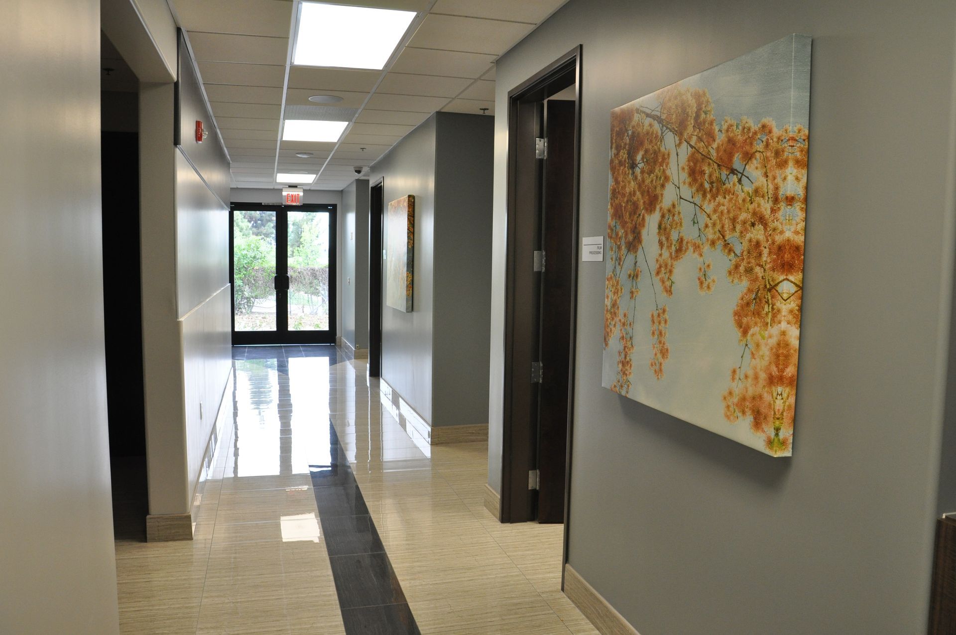 Hallway with doors, artwork, and a window at the end. Light shines on the glossy floor and gray walls.