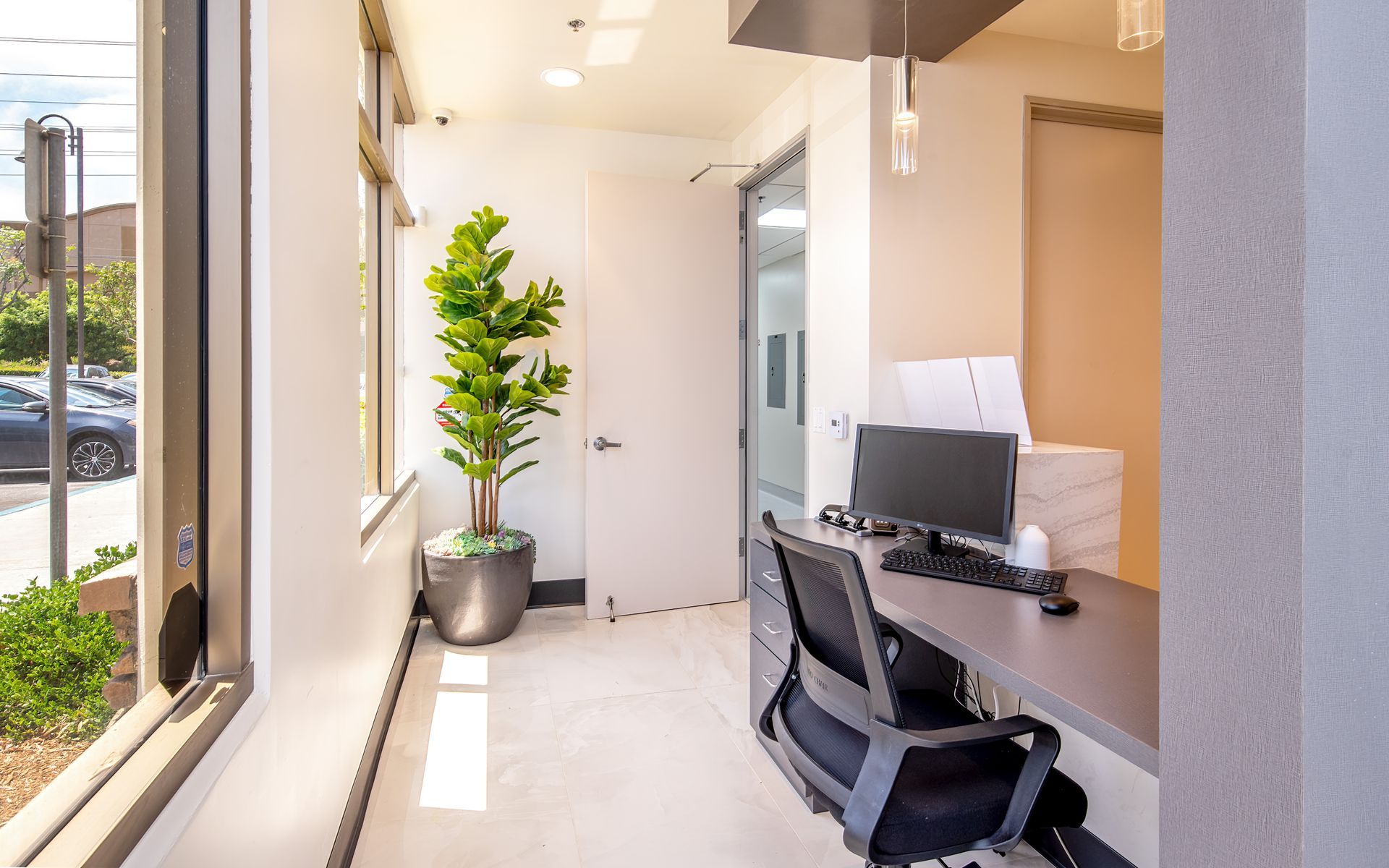 Reception area with a desk, a green plant, and a window to the outside.