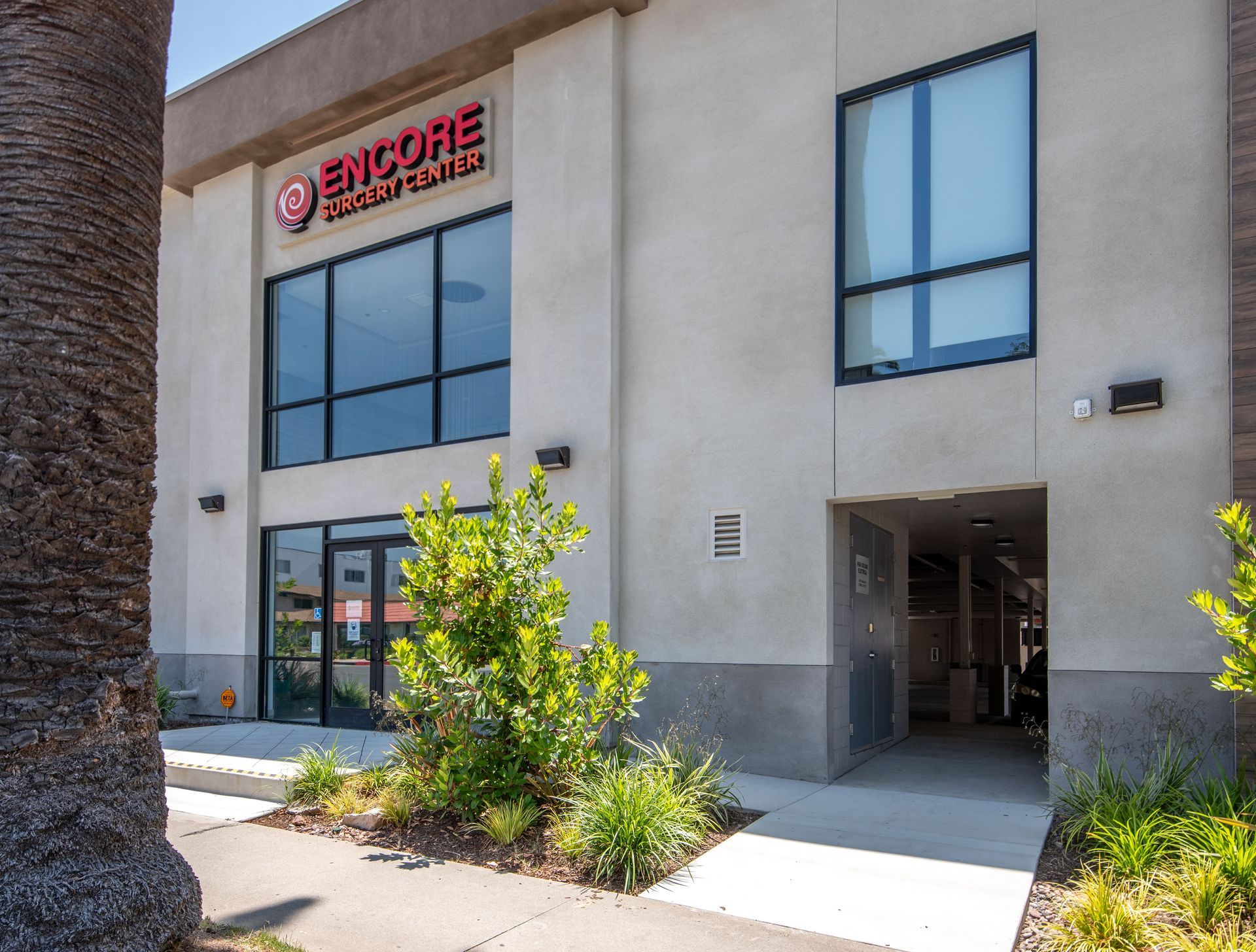 Exterior of Encore Dental Center building; light-colored walls, large windows, palm tree in foreground.