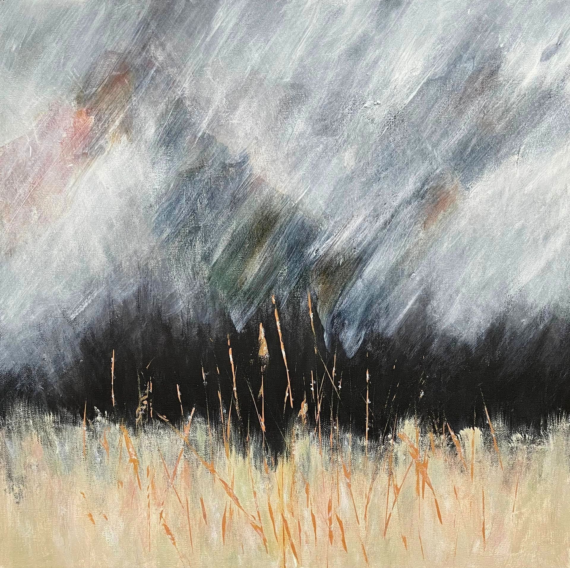 Environmental Consciousness