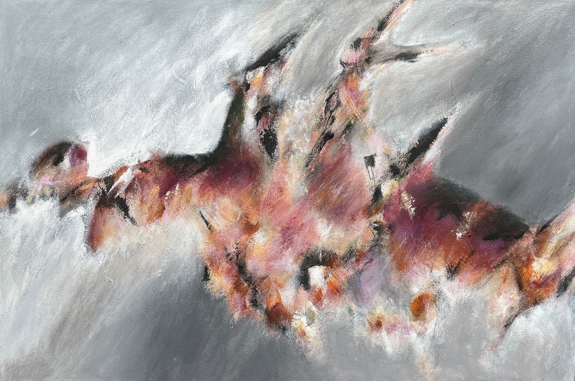 Frolicking in the Wild