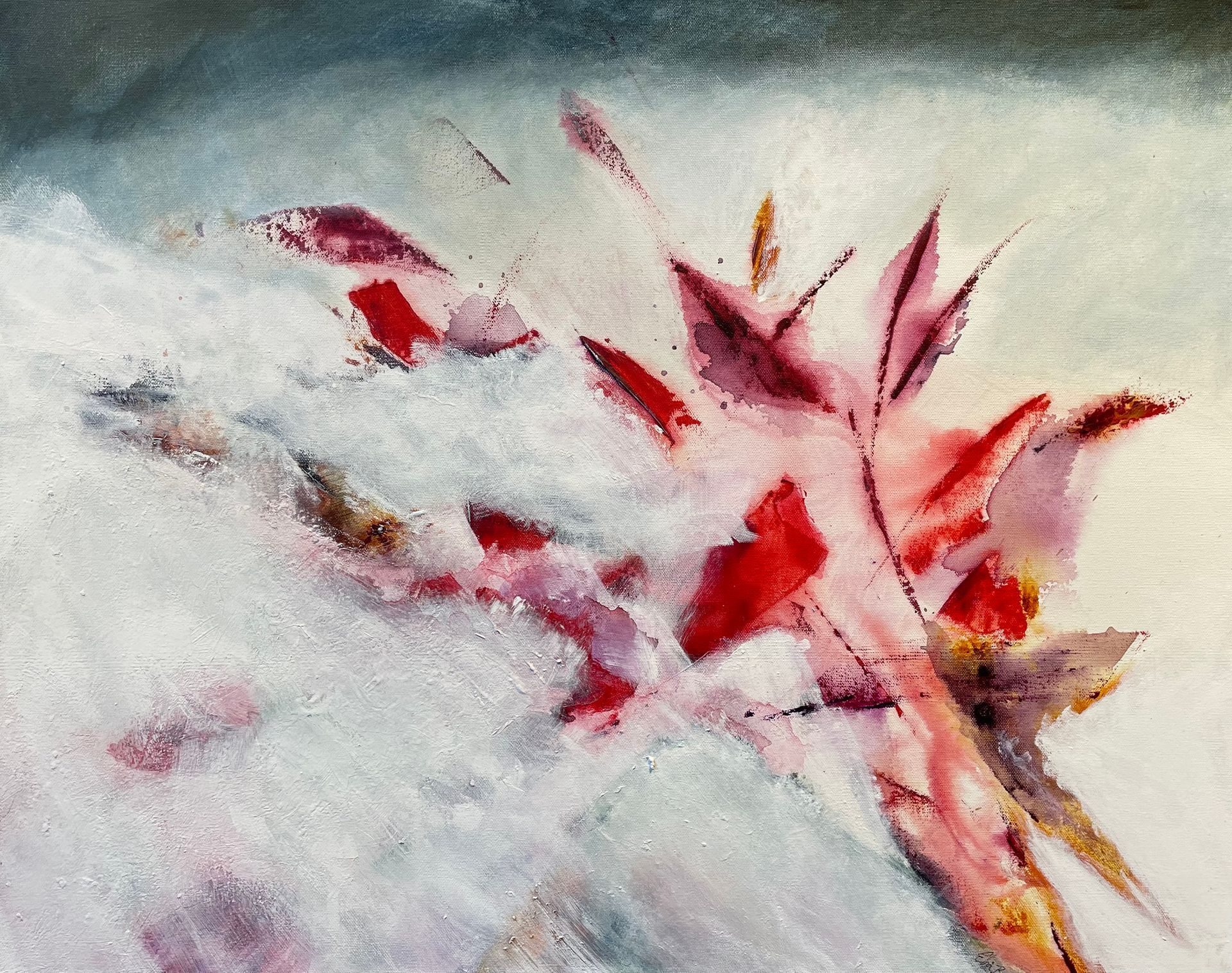 Blooming in the Snow