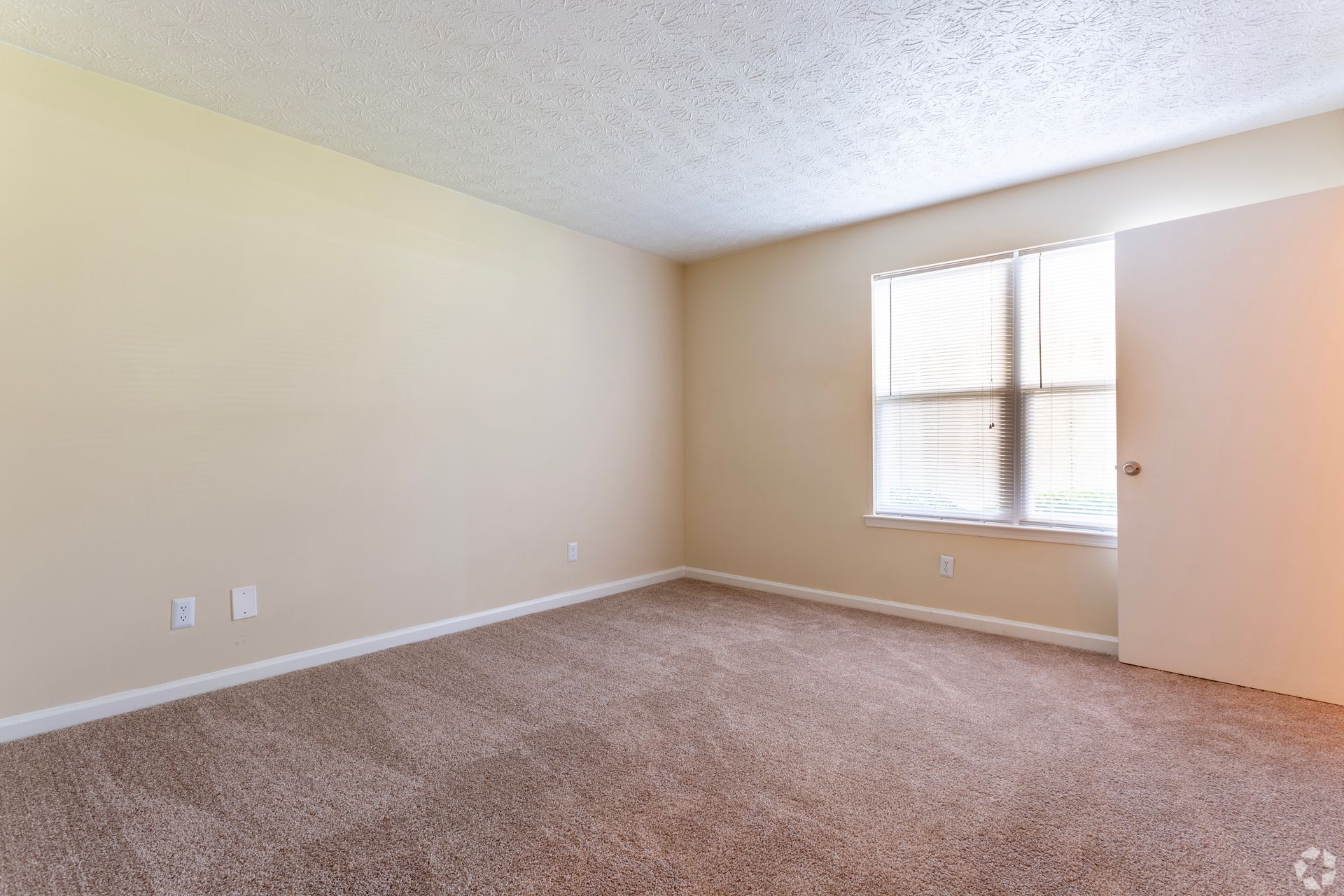An empty room with tan walls, beige carpet, a white door, and a single window covered with horizontal blinds.