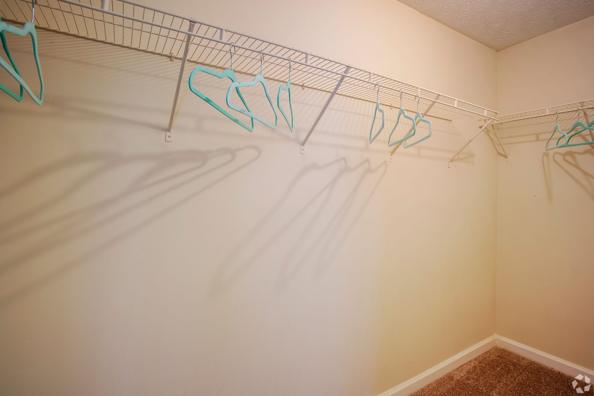 A corner view of an empty closet with beige walls, tan carpeting, and white wire shelving holding several blue hangers.