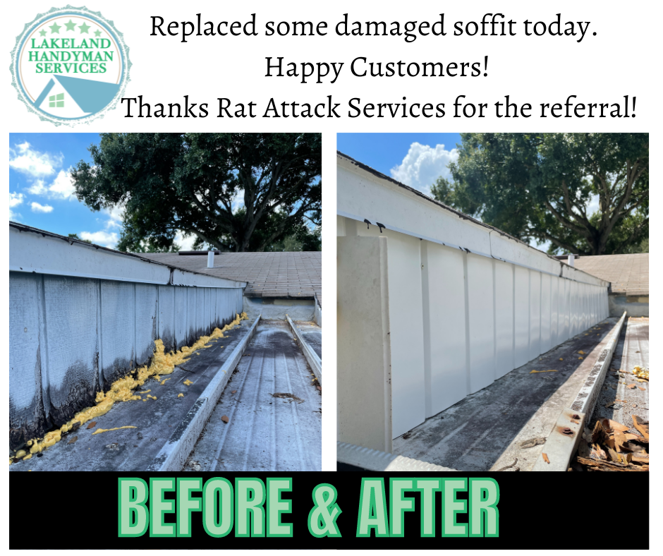 Lakeland Handyman Services 1