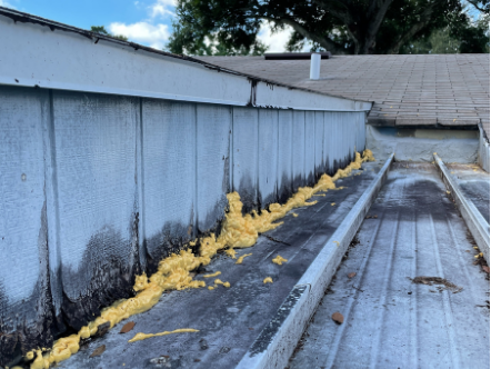 Before image of soffit