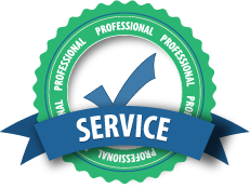 A green and blue badge that says professional service