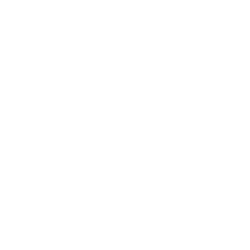 Lakeland Handyman Services Logo