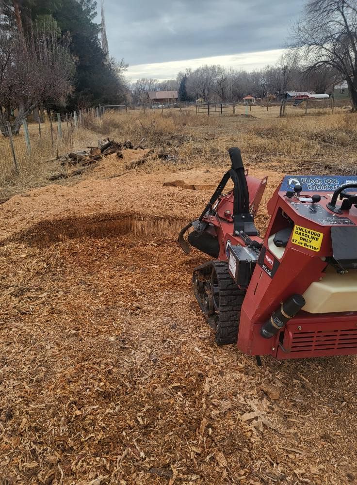 A tractor is cutting a tree stump in a field.