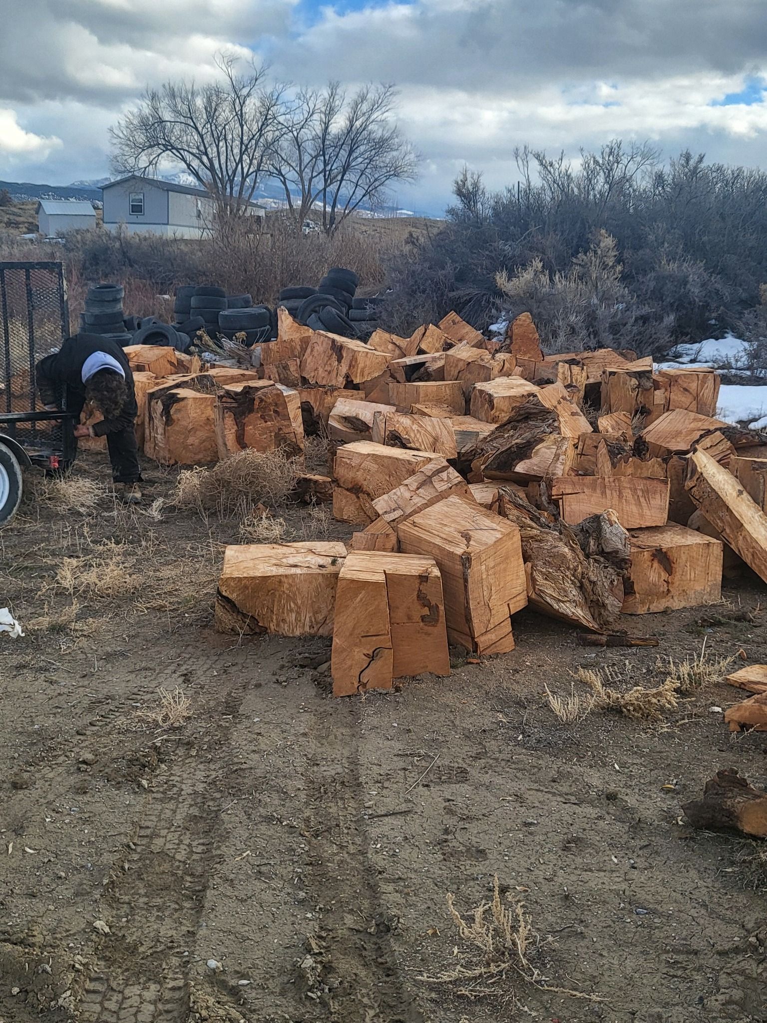 A pile of logs sitting on top of a dirt field.