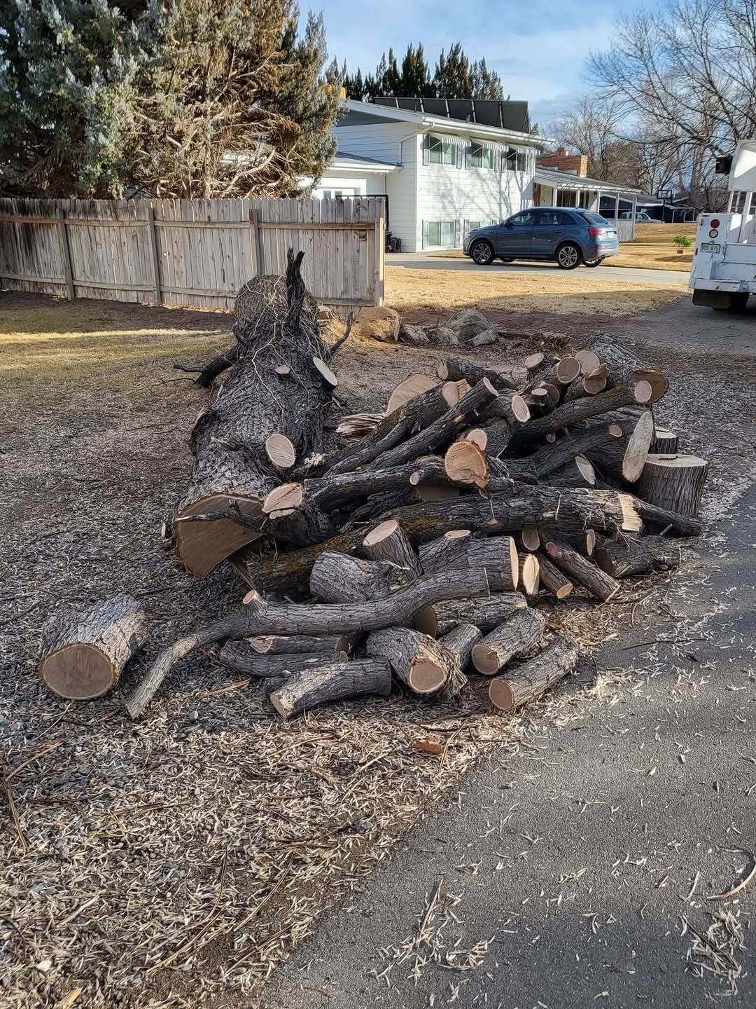 A pile of logs is sitting on the side of the road.