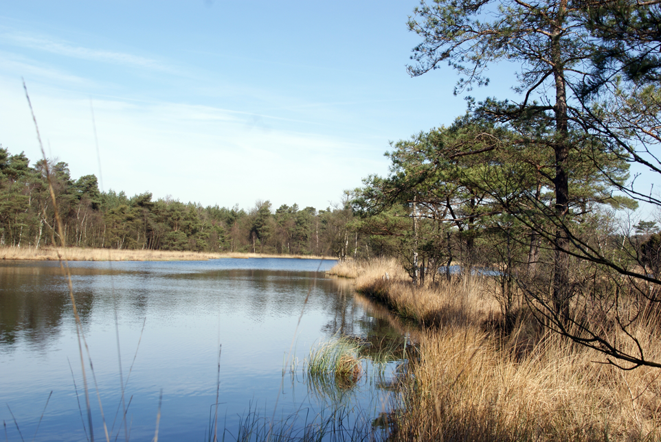 Herberg de Roskam Natuur