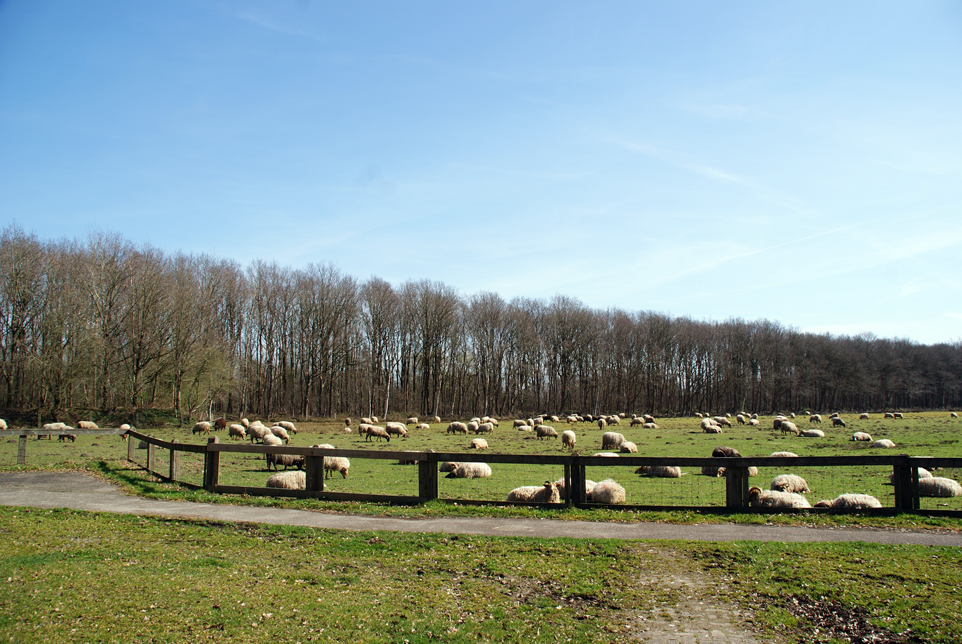 Herberg de Roskam Schaapskooi