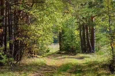 Herberg de Roskam Wandelen