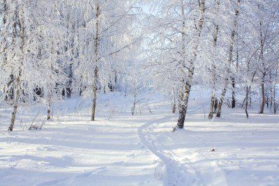 Herberg de Roskam Winterlandschap