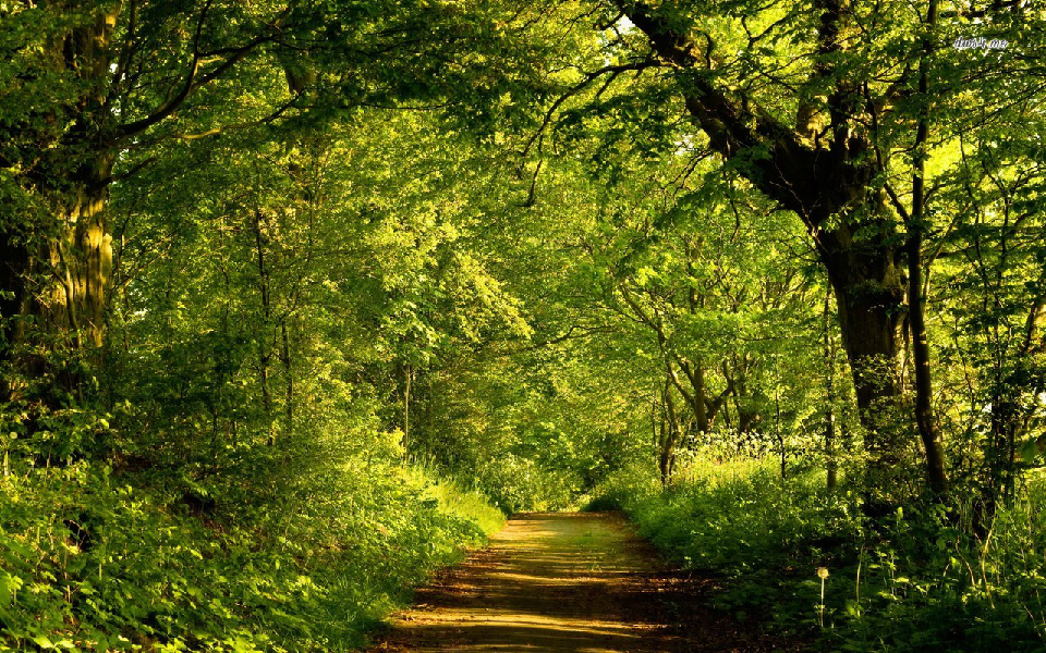 Herberg de Roskam Wandelpad