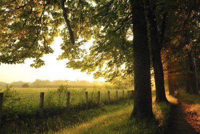 Herberg de Roskam Wandelen