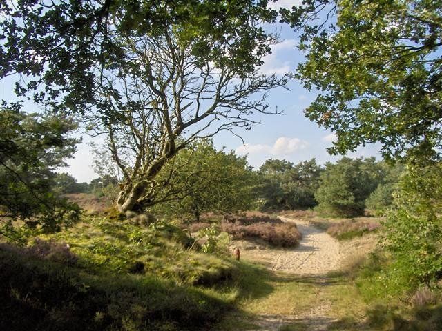 Herberg de Roskam Drents-Friese Woud