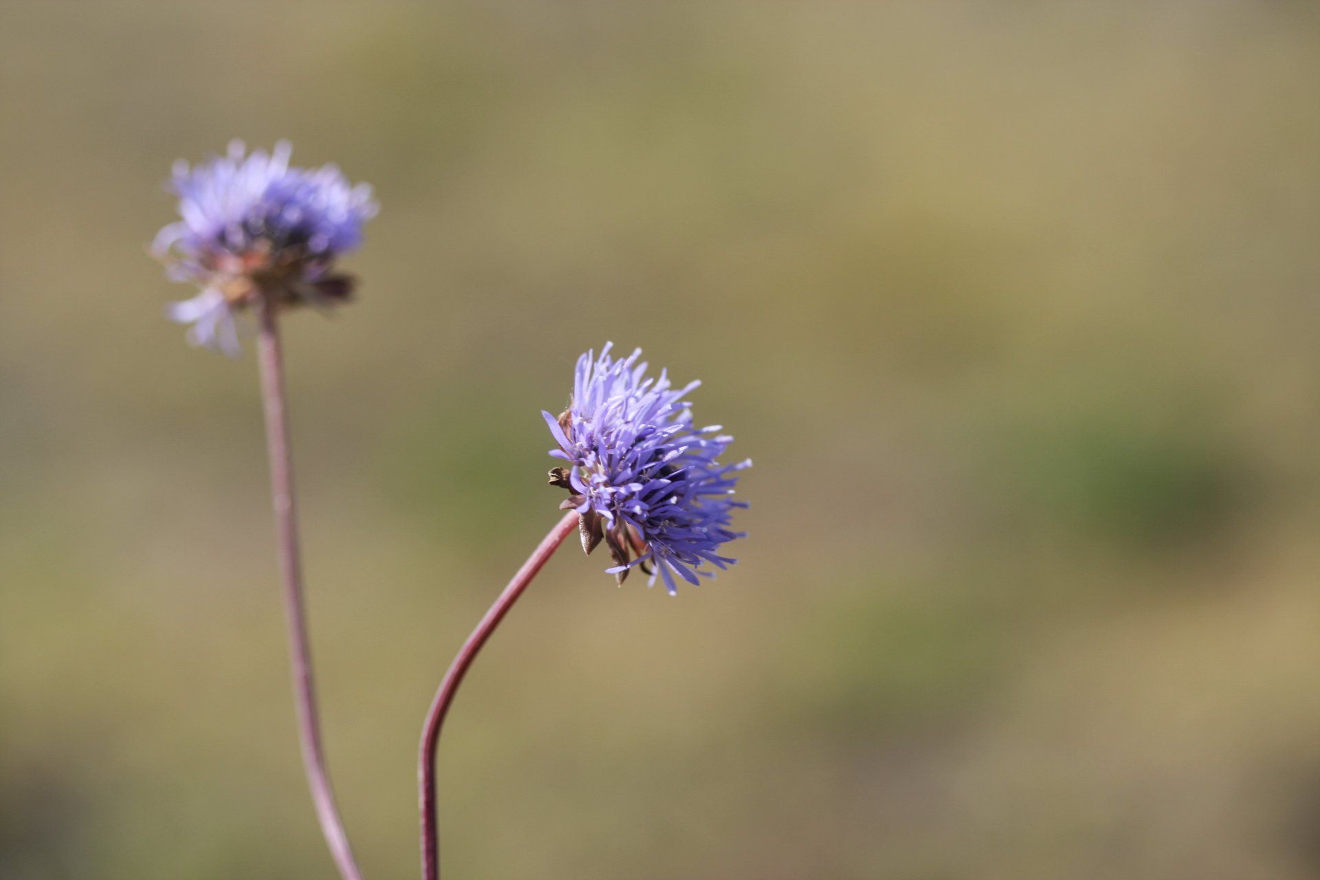Herberg de Roskam Natuur
