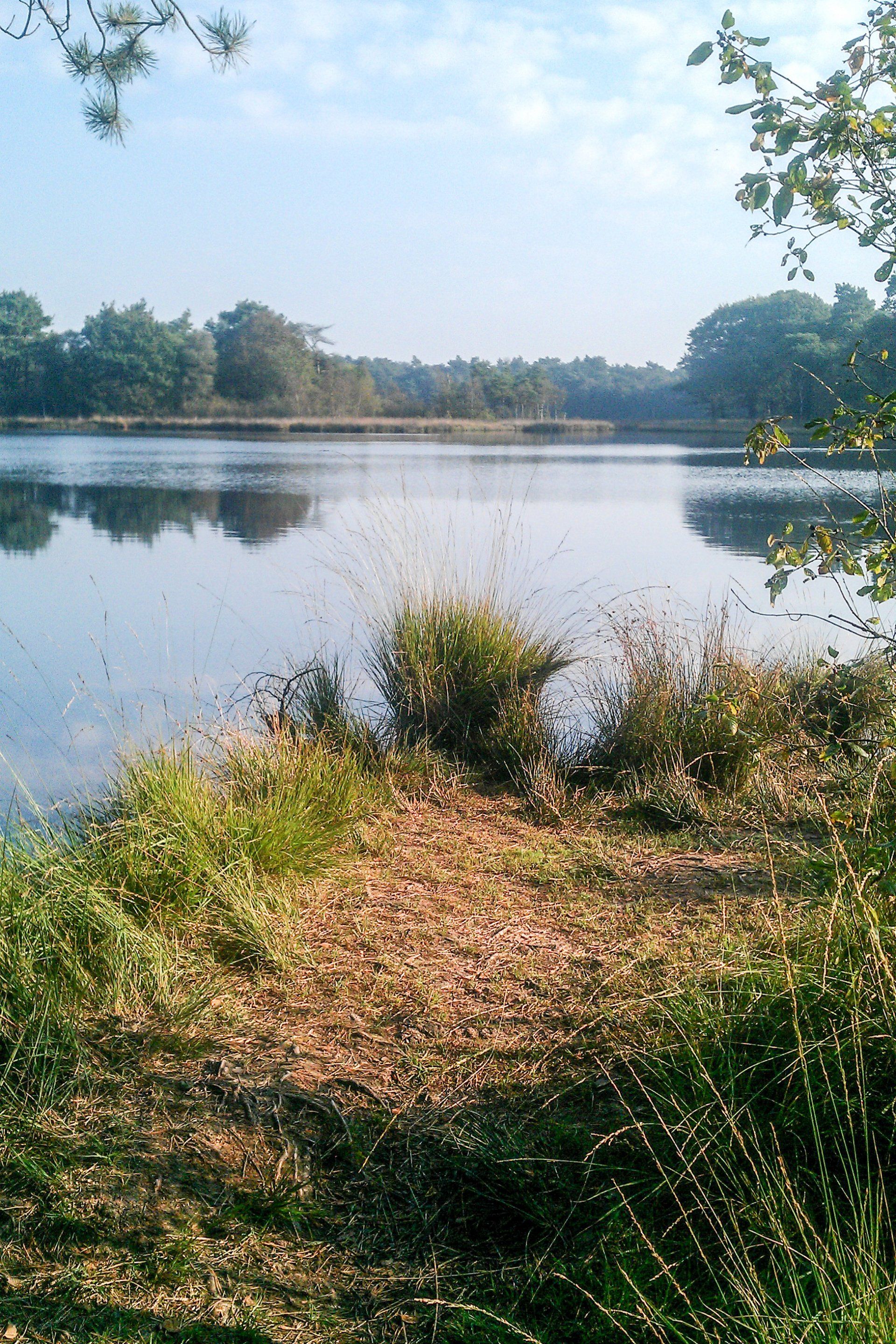 Herberg de Roskam Natuur