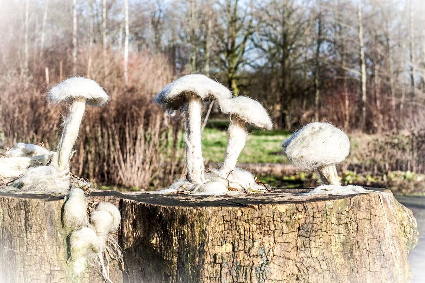 Herberg de Roskam Natuur